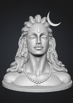 Adiyogi Shankar Ji